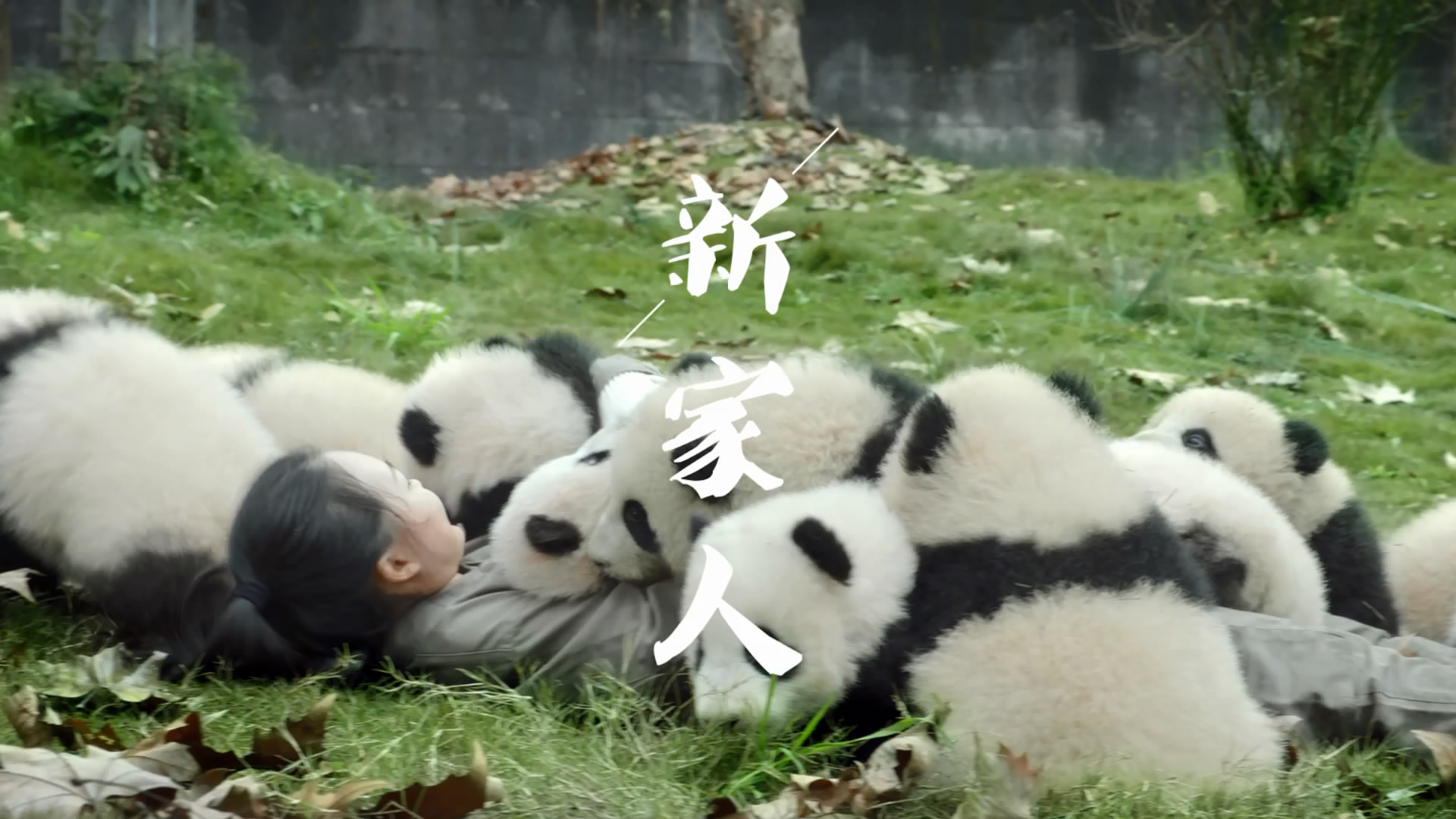 &#20048;&#21160;&#23448;&#26041;&#31471;&#32593;&#39029;&#29256;&#45;&#20048;&#21160;&#40;&#20013;&#22269;&#41;
